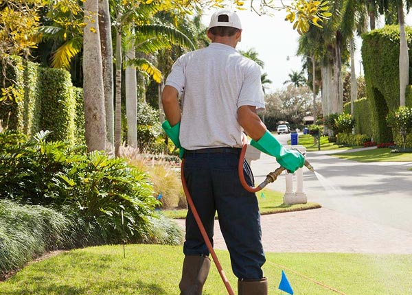 About Kingman AZ Pest Control Pros